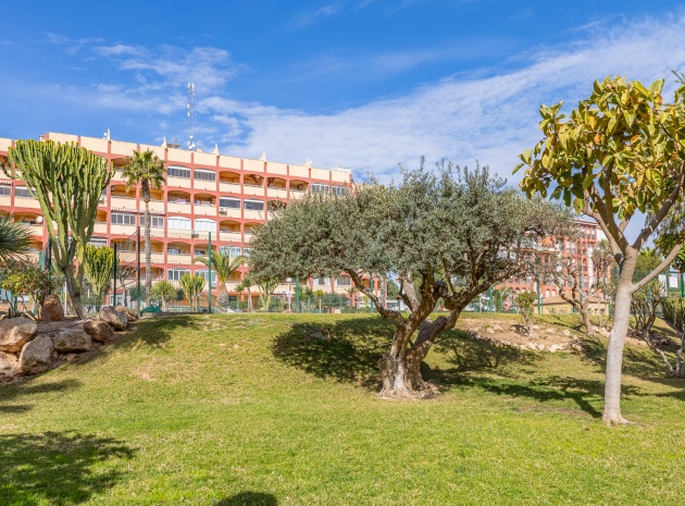Wederverkoop - Appartement - Torrevieja - Torreblanca