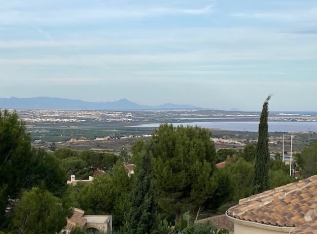 Wederverkoop - Villa - San Miguel de Salinas - las comunicaciones