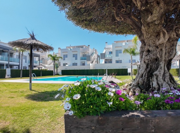 Wederverkoop - Appartement - Punta Prima - mirador de amay