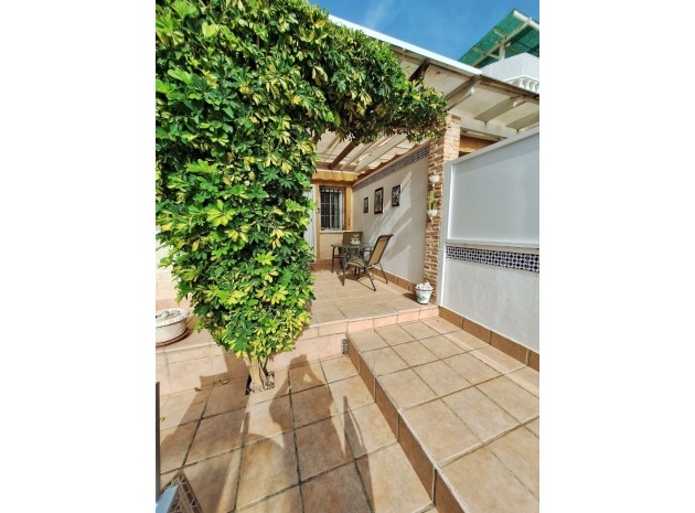Wiederverkauf - Villa - Guardamar del Segura - El Raso