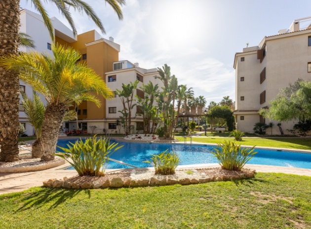 Resale - Apartment - Punta Prima - la entrada