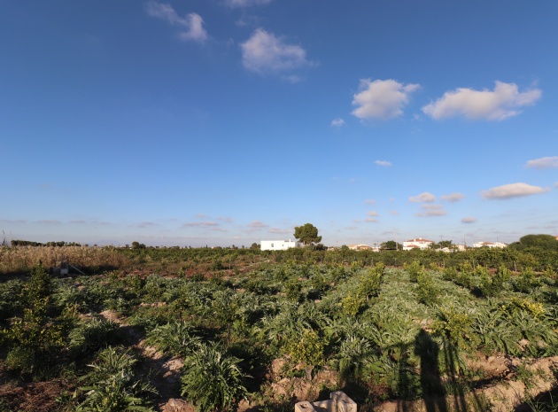 Revente - Terre - Rojales - Los Palacios