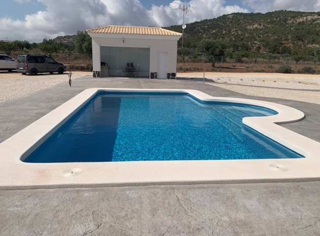 New Build - Villa - Pinoso