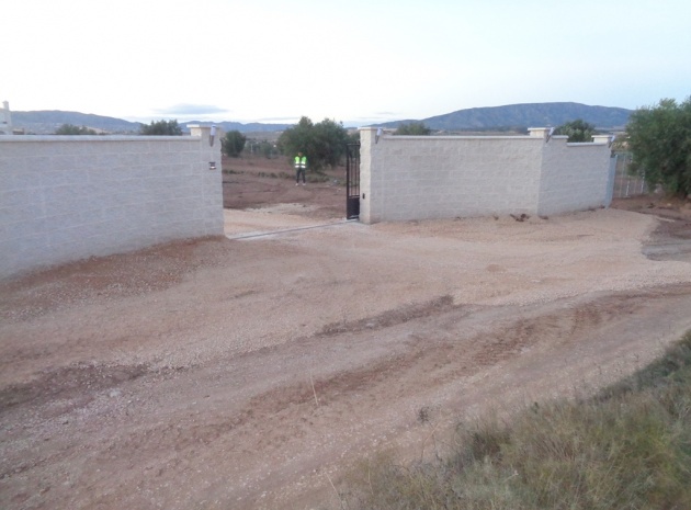 New Build - Villa - Pinoso