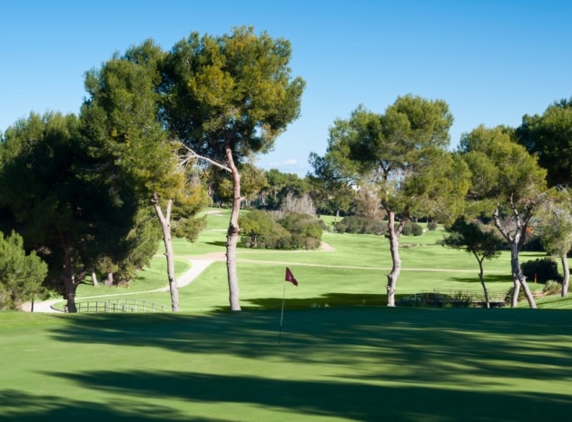 Nybyggnad - Lägenhet - Torrevieja - Los Balcones