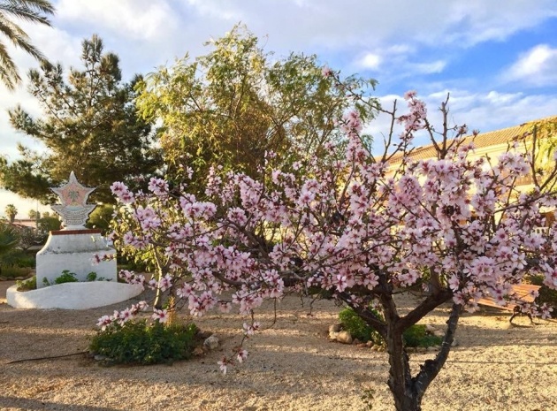 Neubau - Villa - Los Urrutias - Estrella De Mar